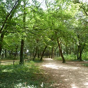 View of "Odyssée des Forêts" -Zoodyssée (2025)