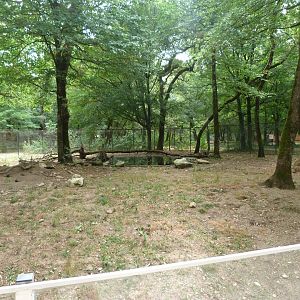 European badger and European red fox exhibit -Zoodyssée (2025)