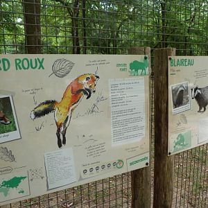 European badger and European red fox signs -Zoodyssée (2025)