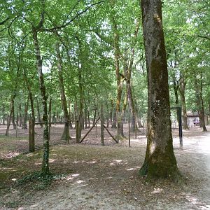 Path towards red deer paddock -Zoodyssée (2025)