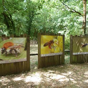 Photo display of different species of bees -Zoodyssée (2025)