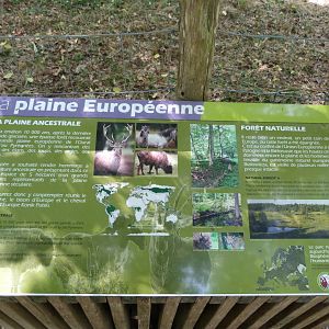 Sign about european grasslands -Zoodyssée (2025)