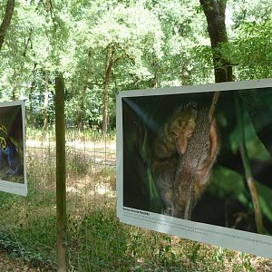 French Guianan photography display -Zoodyssée (2025)