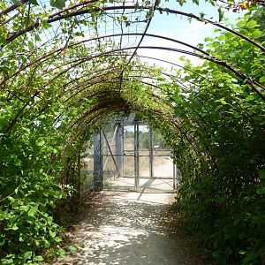 Entrance to "Odyssée des Campagnes" -Zoodyssée (2025)