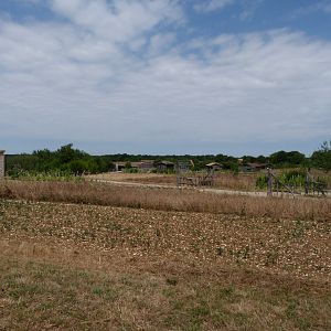 View of "Odyssée des Campagnes" -Zoodyssée (2025)