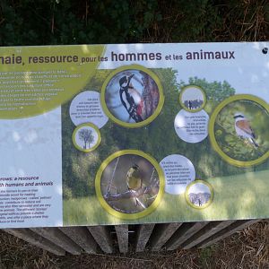 Sign about the importance of hedges -Zoodyssée (2025)