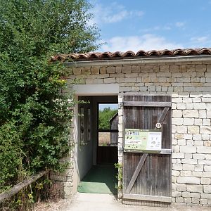 Little owl viewing area -Zoodyssée (2025)