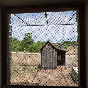 Little owl exhibit -Zoodyssée (2025)