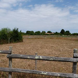 Parthenaise cattle and Poitevin goat exhibit -Zoodyssée (2025)