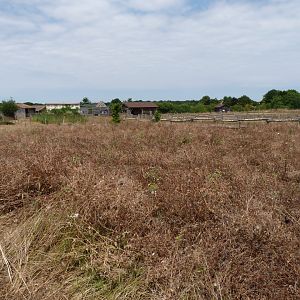 View of "Odyssée des Campagnes" -Zoodyssée (2025)