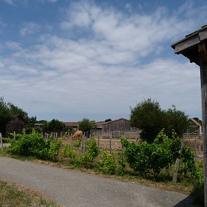 Road towards the farmhouse -Zoodyssée (2025)