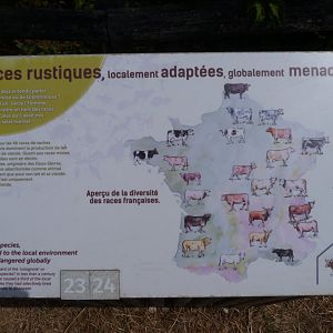 Cattle breeds of France sign -Zoodyssée (2025)