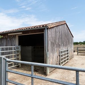 Parthenaise cattle and Poitevin goat stable -Zoodyssée (2025)