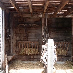 Beech marten exhibit -Zoodyssée (2025)