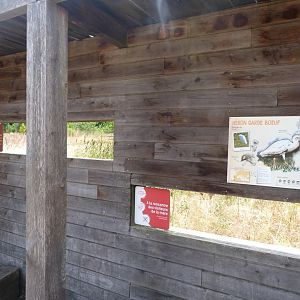 Reed viewing hide -Zoodyssée (2025)