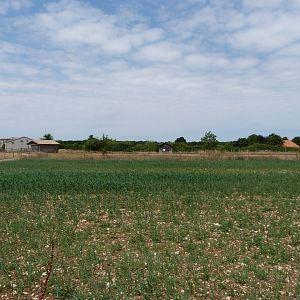 Plantation area -Zoodyssée (2025)