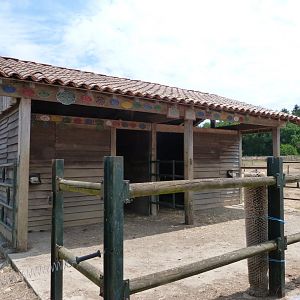 Poitou donkey stable -Zoodyssée (2025)