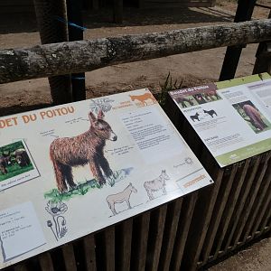 Poitou donkey signs -Zoodyssée (2025)