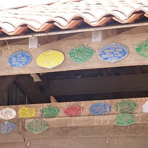 Agricultural show prizes for Poitou donkey -Zoodyssée (2025)