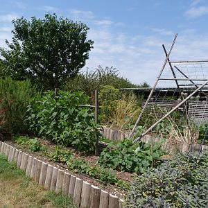 Garden view -Zoodyssée (2025)