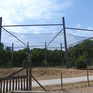 Countryside aviary outside view -Zoodyssée (2025)