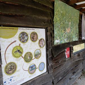 Little bustard interpretation center and hide -Zoodyssée (2025)