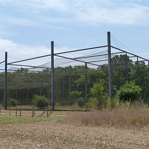 Countryside aviary outside view -Zoodyssée (2025)