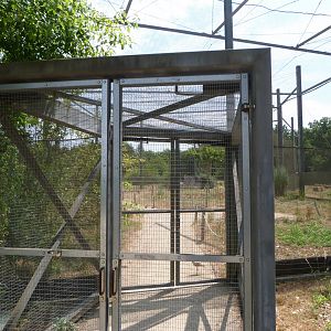 Entrance to the countryside aviary -Zoodyssée (2025)
