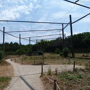 Countryside aviary -Zoodyssée (2025)