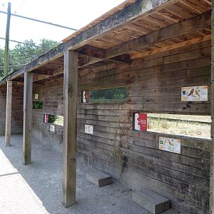 Bird observation hide at walkthrough aviary -Zoodyssée (2025)