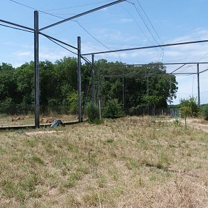 Countryside aviary -Zoodyssée (2025)