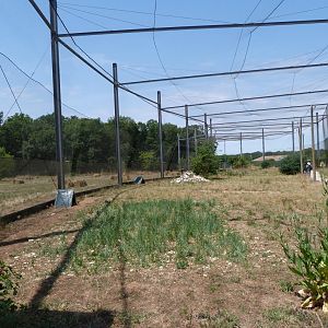 Countryside aviary -Zoodyssée (2025)