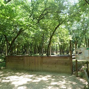 European elk exhibit viewing area -Zoodyssée (2025)