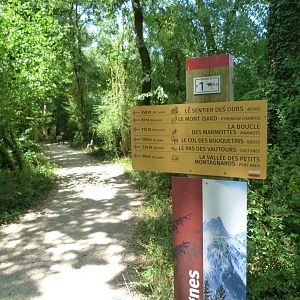 Direction signs -Zoodyssée (2025)