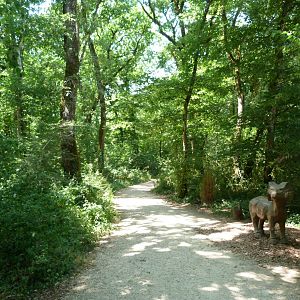 Path and mouflon statue -Zoodyssée (2025)