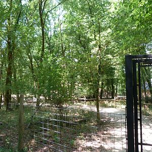 Entrance to Pyrenean chamois walkthrough exhibit -Zoodyssée (2025)