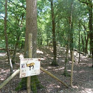 Alpine ibex exhibit -Zoodyssée (2025)