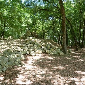 Alpine ibex exhibit -Zoodyssée (2025)