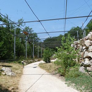 Western Eurasian griffon vulture and Western Egyptian vulture exhibit -Zoodyssée (2025)