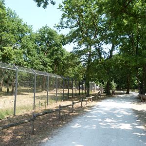 Eurasian brown bear exhibit view -Zoodyssée (2025)