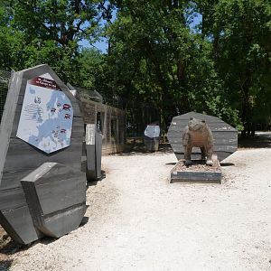 Eurasian brown bear educative displays -Zoodyssée (2025)