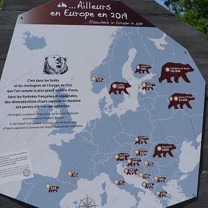 Bears in Europe sign -Zoodyssée (2025)