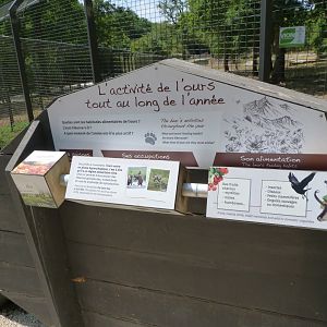 Educative display about the year of the bear -Zoodyssée (2025)