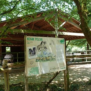 Konik horse stable -Zoodyssée (2025)