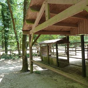 Heck's cattle stable -Zoodyssée (2025)