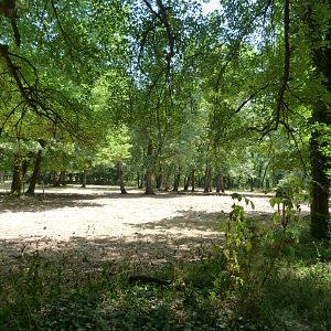 Heck's cattle exhibit -Zoodyssée (2025)