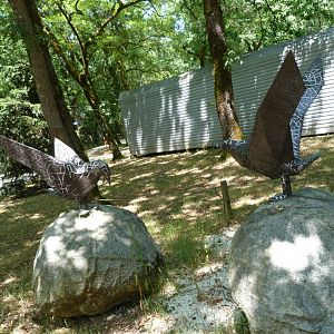 Great skua statues -Zoodyssée (2025)