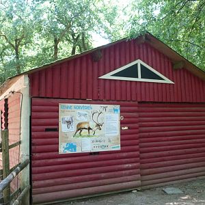 Domestic reindeer stable -Zoodyssée (2025)