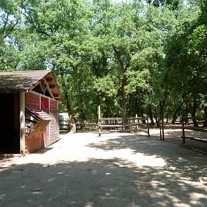 Domestic reindeer exhibit -Zoodyssée (2025)