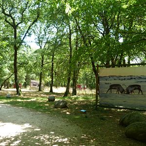 "Odyssée Nordique" view -Zoodyssée (2025)